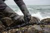 Pêche aux Moules : Guide Complet