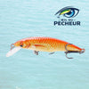 Crankbait Truite - WALRUS 70mm