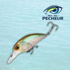 Leurre de Peche Carnassier - DUFF 65mm