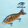 Leurre de Peche Mer - LEYDUN 184mm