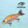 Leurre de Peche Mer - LEYDUN 184mm