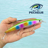 Leurre Lancer Longue Distance - RAINBOW