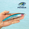 Leurre Lancer Longue Distance - RAINBOW