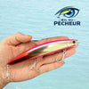 Leurre Lancer Longue Distance - RAINBOW