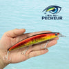 Leurre Lancer Longue Distance - RAINBOW