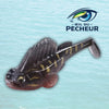 Leurre Souple de Peche | BOBBY 75mm